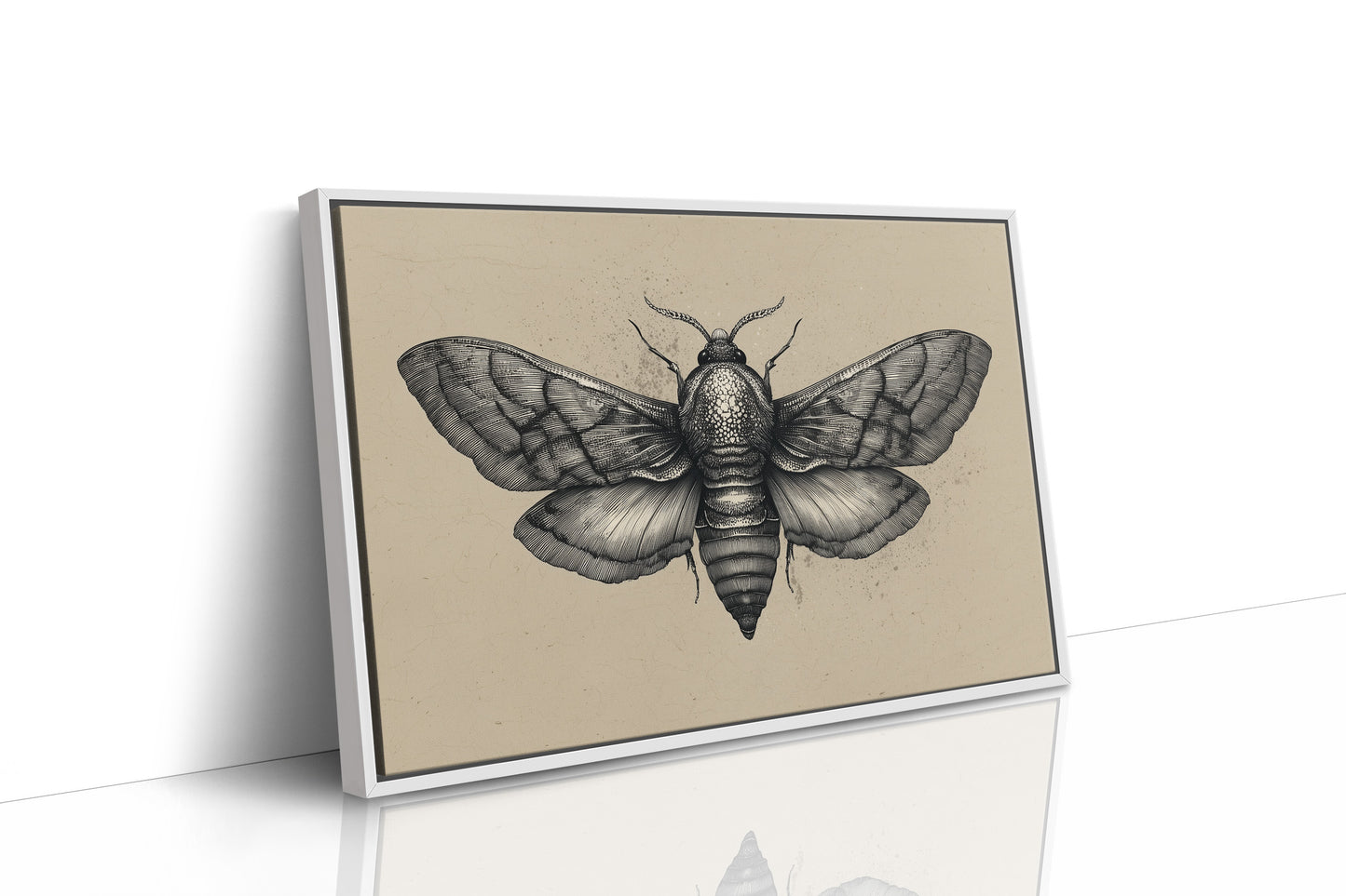 Vintage Moth Among Literary Spines