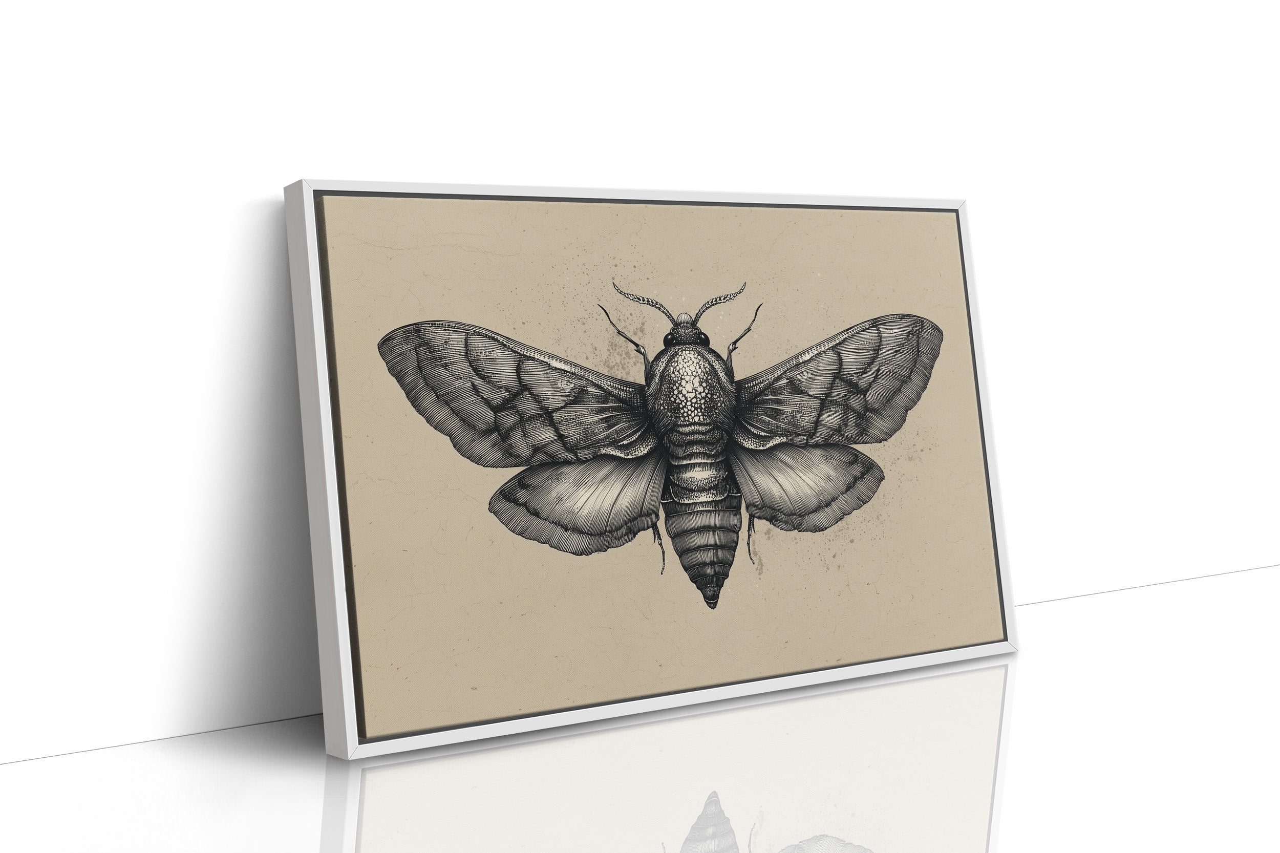 Vintage Moth Among Literary Spines