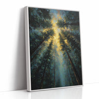 Sunbeams Pierce Ancient Forest Canopy