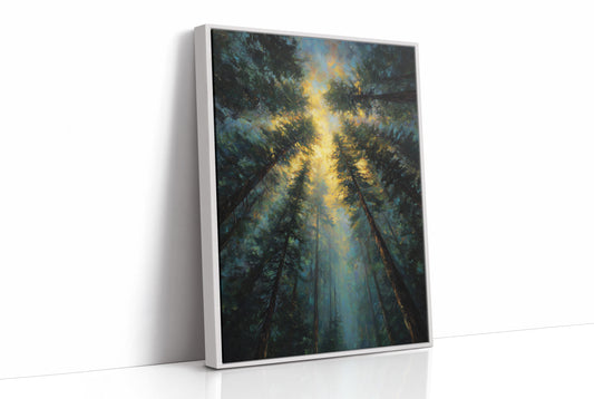 Sunbeams Pierce Ancient Forest Canopy