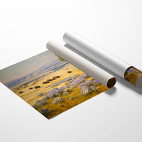 Prairie Lupines Guide Buffalo Home