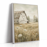 Weathered Barn in the Meadow