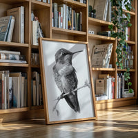 The Stillness of Feathered Grace