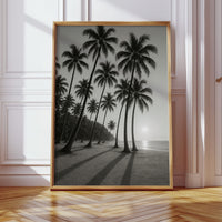 Palm Shadows at Sunrise