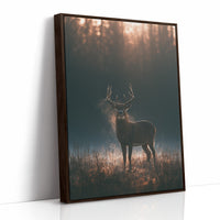 Buck at First Light