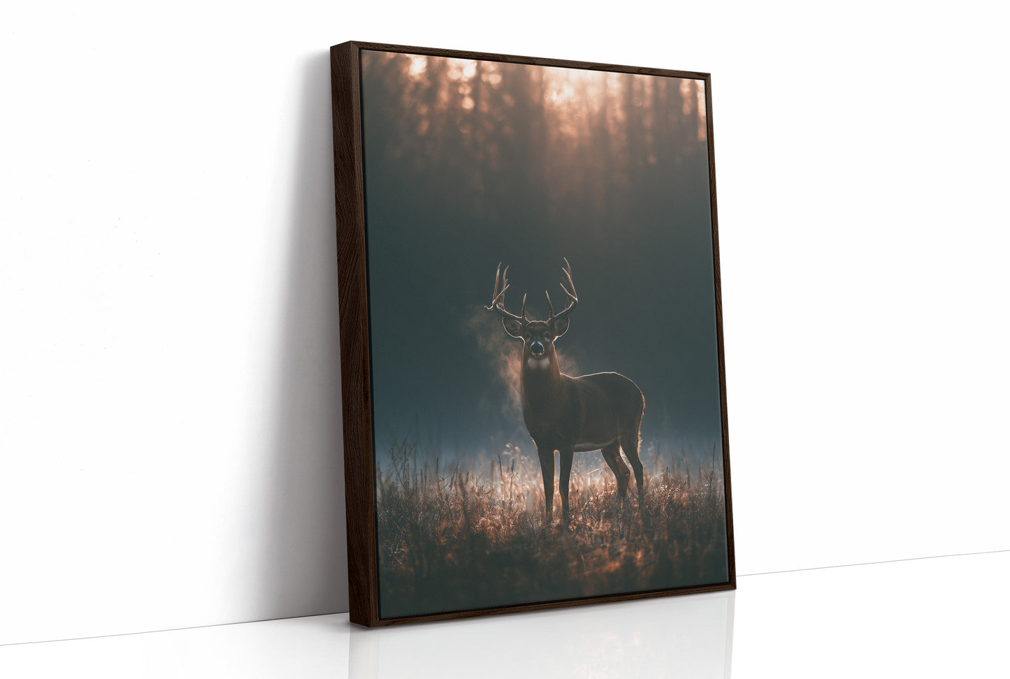 Buck at First Light