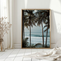Tides Dance Beneath Tall Palms