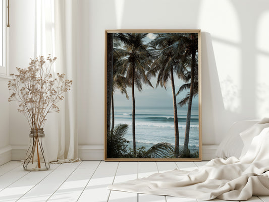 Tides Dance Beneath Tall Palms