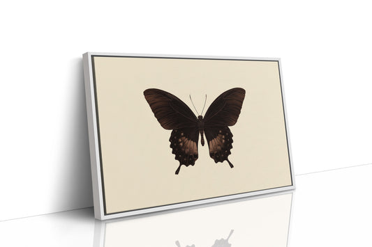 Dark Wings Against Ivory Canvas