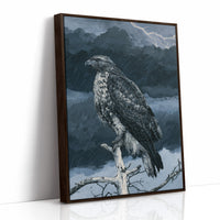 Hawk Weathering the Storm