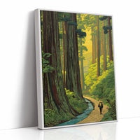 Wanderer Among Ancient Forest Giants