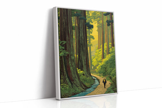 Wanderer Among Ancient Forest Giants