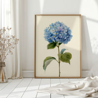 Beneath A Sky of Blue Petals