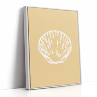 Seashells Remember Their Sandy Home