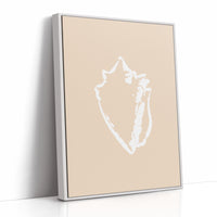 Seashell Sketches In Blush Light