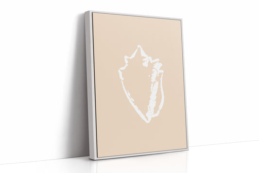 Seashell Sketches In Blush Light
