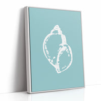 Seashell Sketches A Coastal Memory