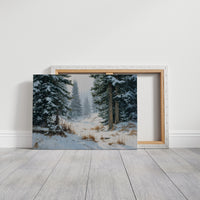Winter Pines Guard Ancient Paths