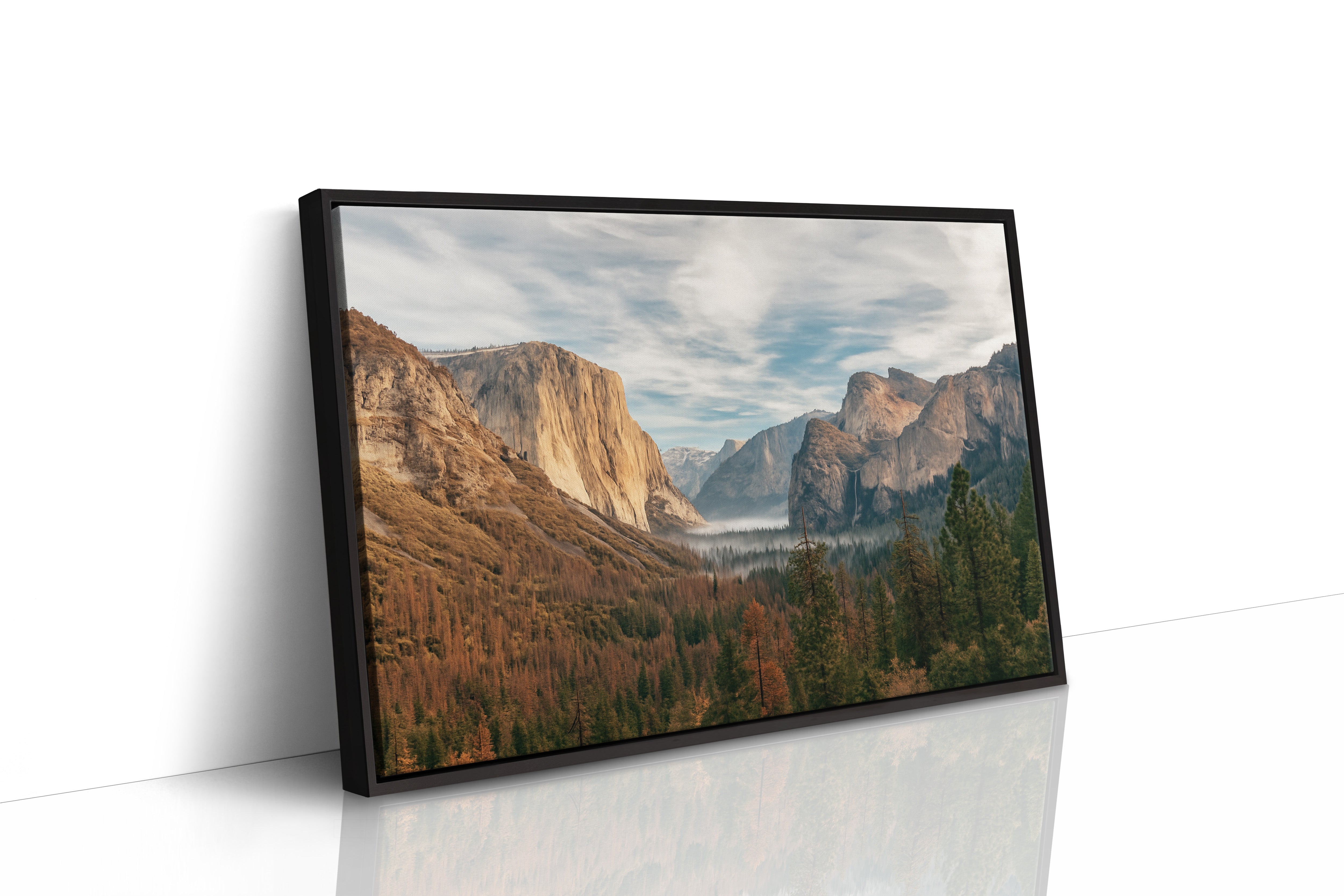 Black Framed Canvas image 1