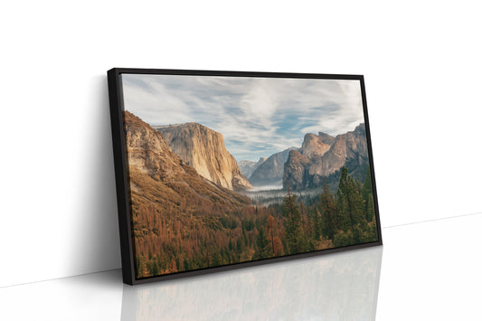 Black Framed Canvas image 1