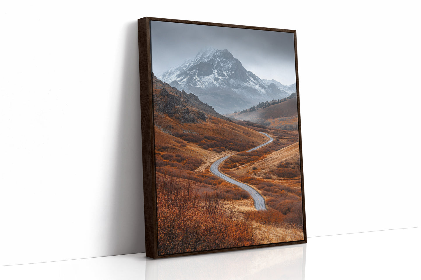 Brown Framed Canvas image 1