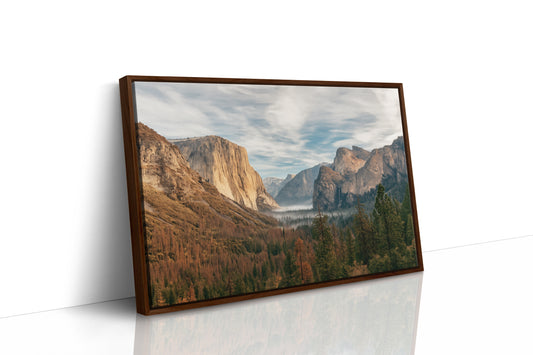 Brown Framed Canvas image 1