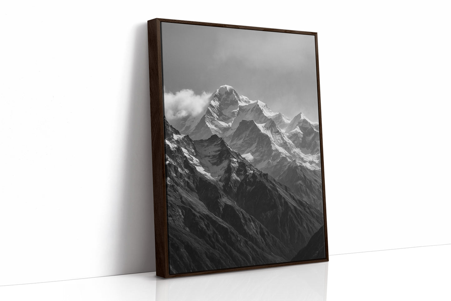 Brown Framed Canvas image 1