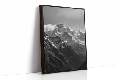 Brown Framed Canvas image 1