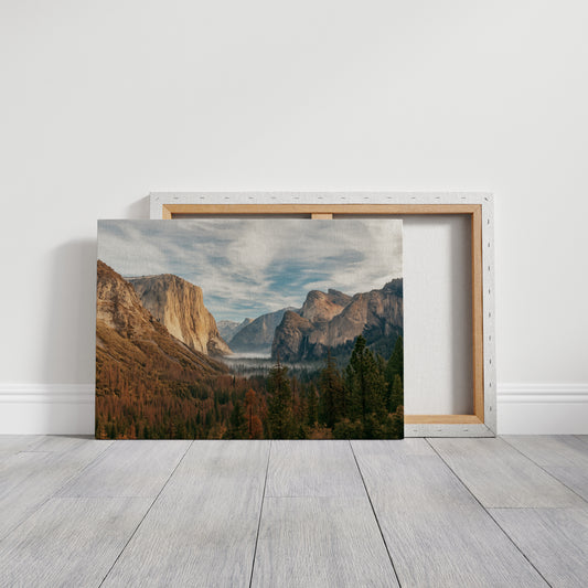 Gallery Canvas image 1