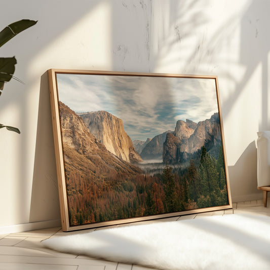 Gallery image 10