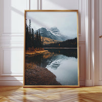 Gallery image 10