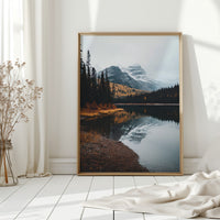 Gallery image 13