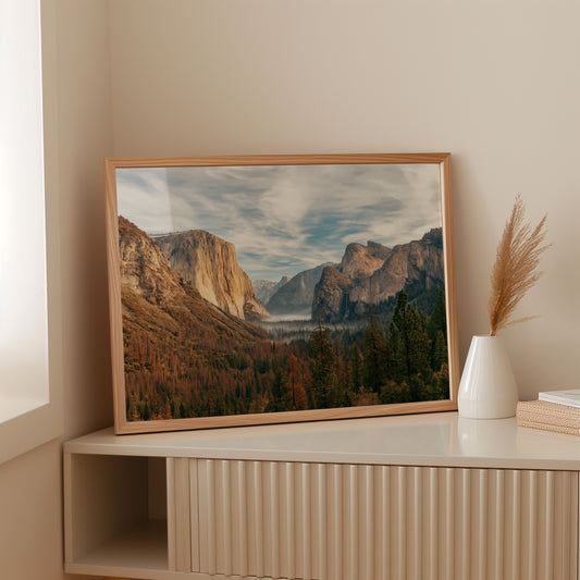 Gallery image 6