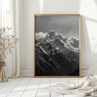 Gallery image 7
