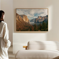 Gallery image 8