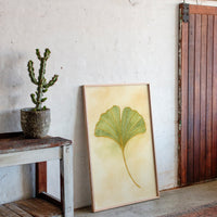 Gallery image 9