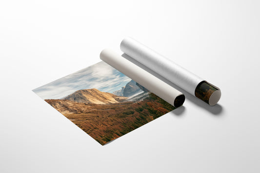 Matte Poster image 1