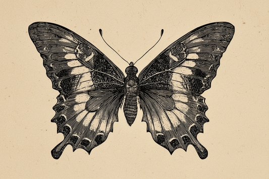 Between Pages And Flight Patterns