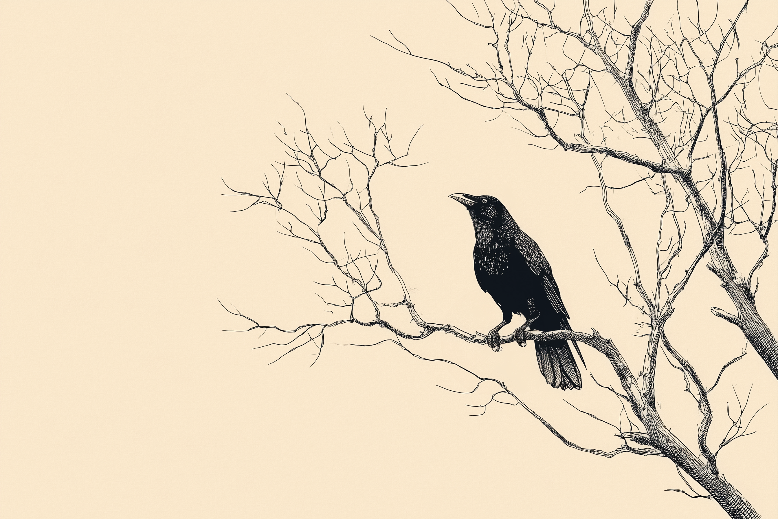 Raven Perches On Winter Branches
