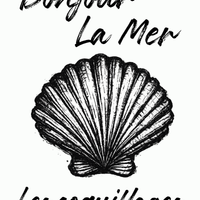 Carried Home from the Coast