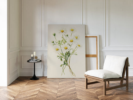 Gallery image 10 for AL0084 - Premium Art Print
