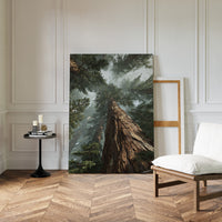 Gallery image 10 for AL1880 - Premium Art Print