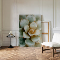 Gallery image 10 for AL1878 - Premium Art Print