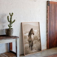 Gallery image 10 for AL1833 - Premium Art Print