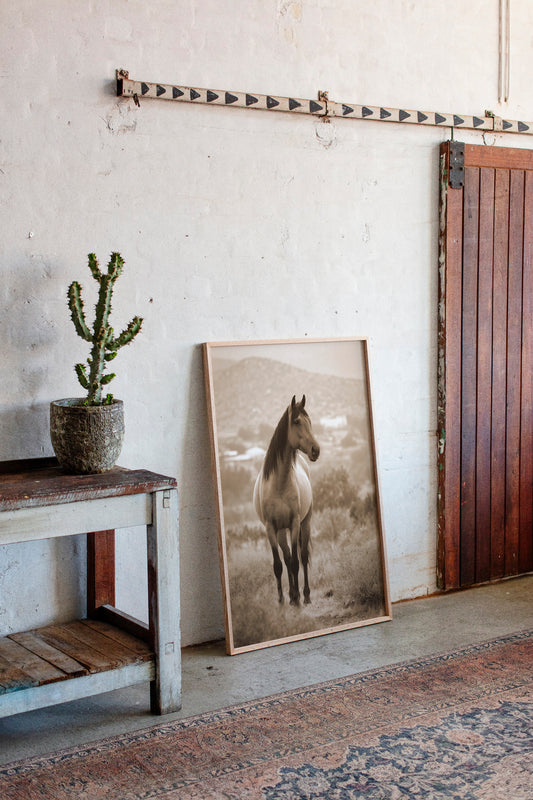 Gallery image 10 for AL1833 - Premium Art Print