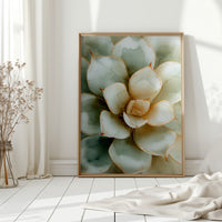 Gallery image 11 for AL1878 - Premium Art Print