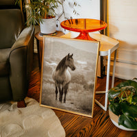 Gallery image 11 for AL1833 - Premium Art Print