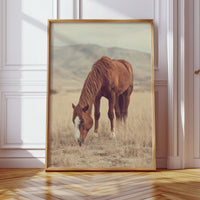 Gallery image 11 for AL1820 - Premium Art Print