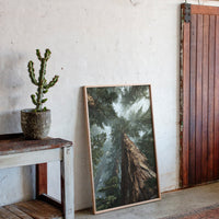 Gallery image 12 for AL1880 - Premium Art Print