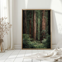 Gallery image 12 for AL1864 - Premium Art Print